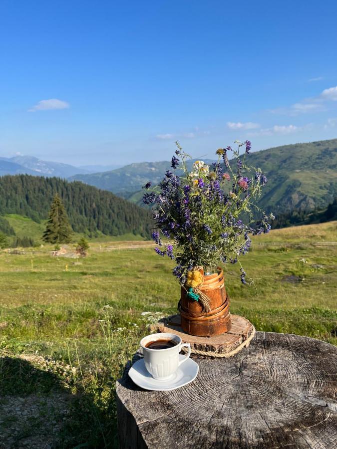 Sustainable Samel's Hrid's Prokletije * Плав