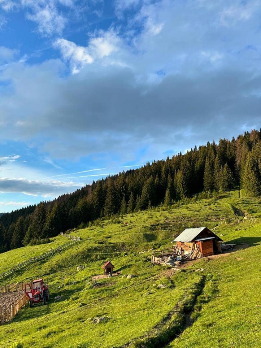 Sustainable Samel's Hrid's Prokletije * Плав