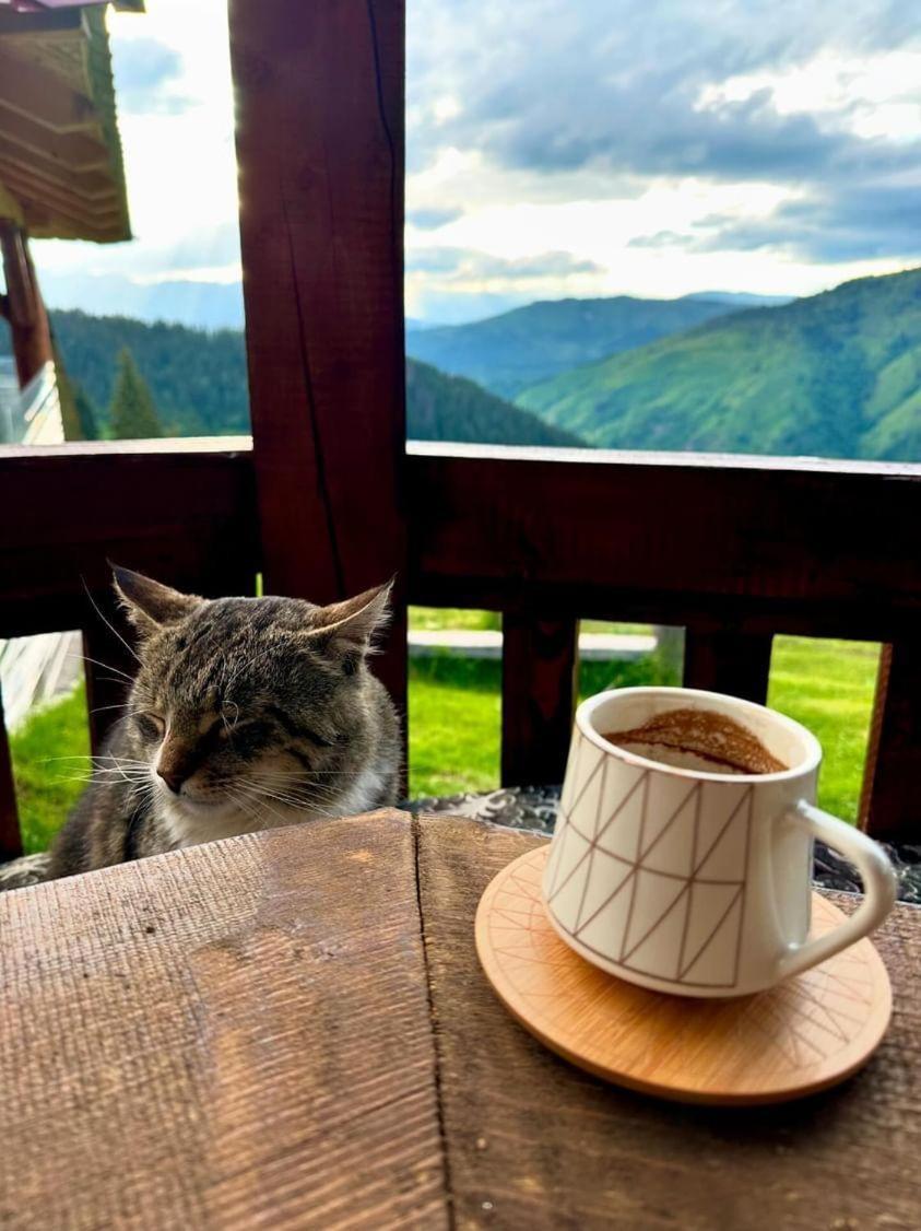 Sustainable Samel's Hrid's Prokletije Деревянный коттедж Плав