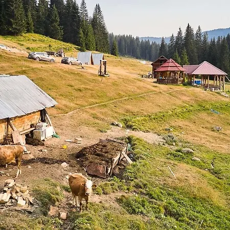 Sustainable Samel'S Cottage Hrid'S Lake Prokletije Plav Exterior photo