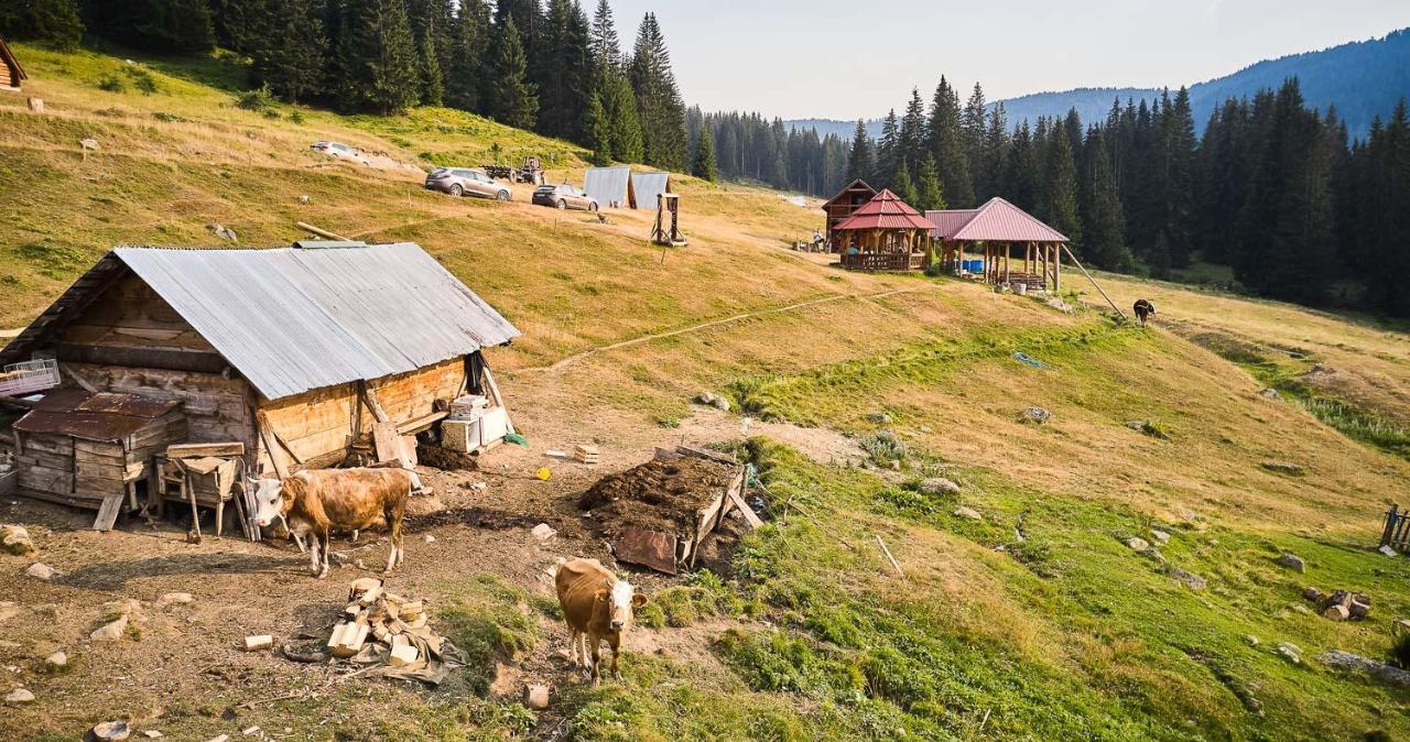 Дерев'яний котедж Sustainable Samel's Hrid's Prokletije